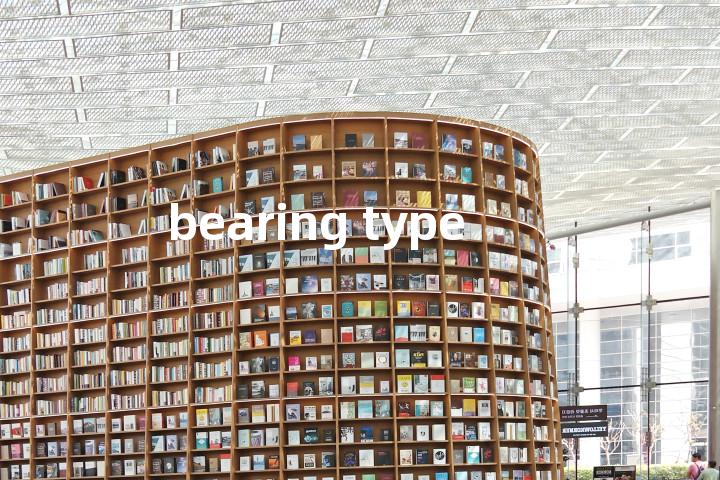 bearing type单词图解，单词释义场景配图