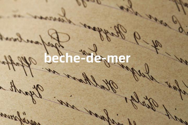 beche-de-mer单词图解，单词释义场景配图