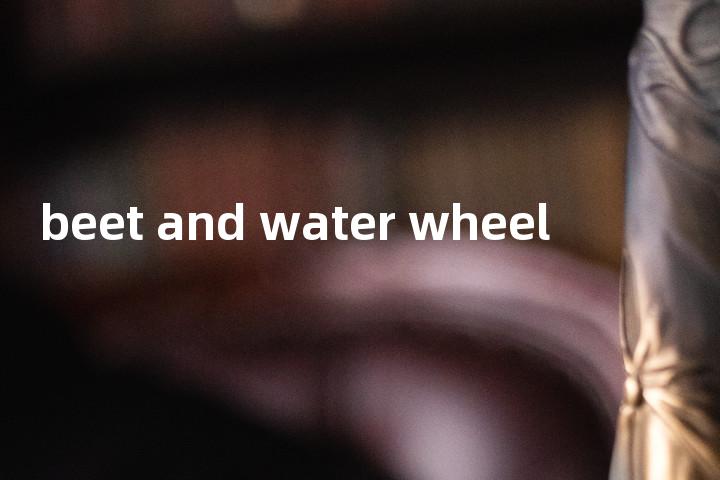 beet and water wheel单词图解，单词释义场景配图