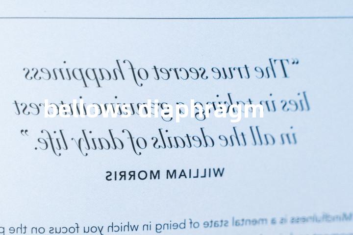 bellows diaphragm单词图解，单词释义场景配图