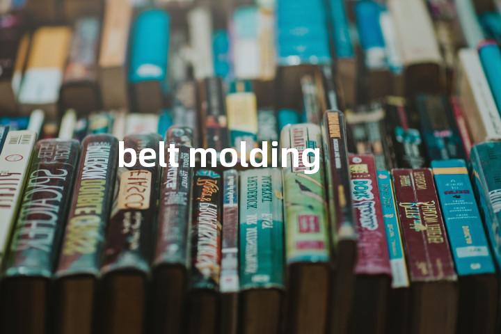 belt molding单词图解，单词释义场景配图