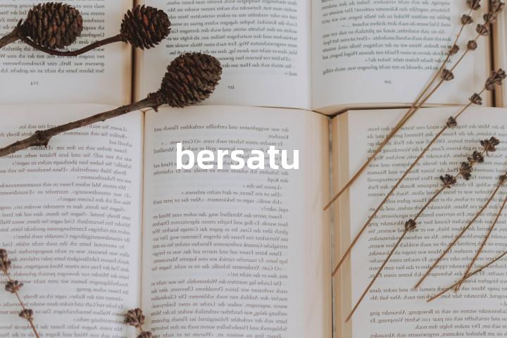 bersatu单词图解，单词释义场景配图