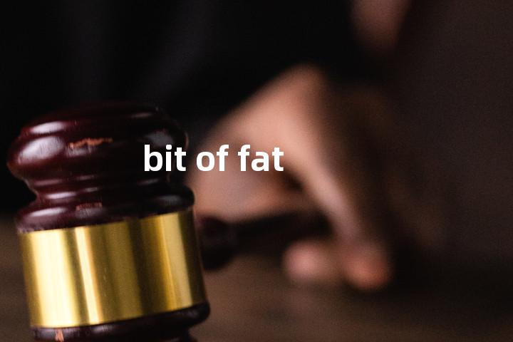 bit of fat单词图解，单词释义场景配图