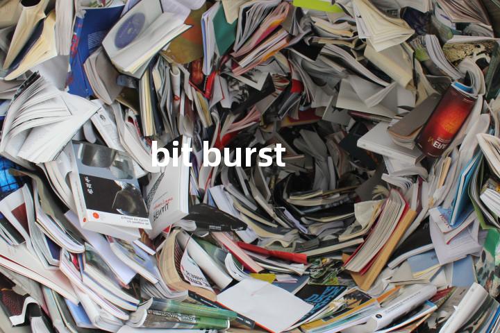 bit burst单词图解，单词释义场景配图