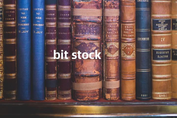 bit stock单词图解，单词释义场景配图
