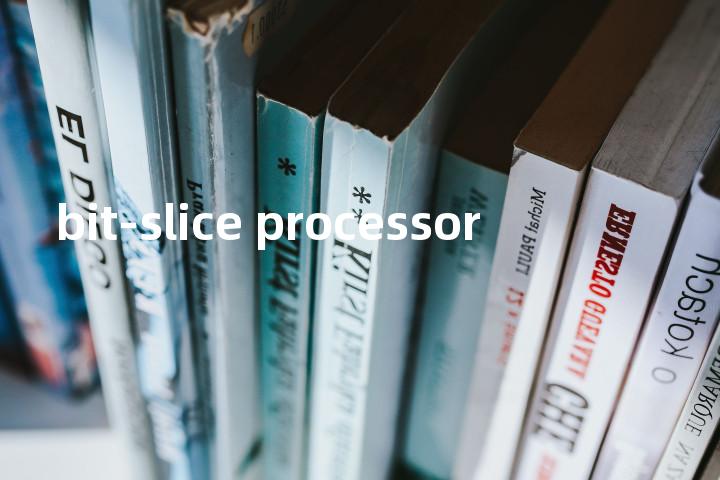 bit-slice processor单词图解，单词释义场景配图