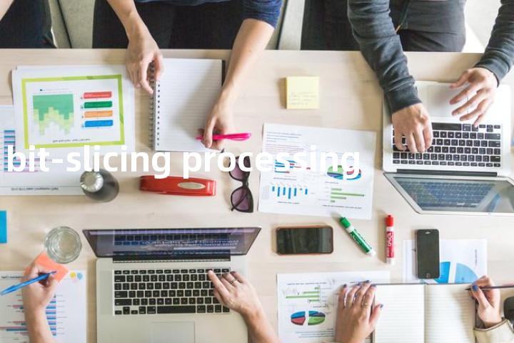 bit-slicing processing单词图解，单词释义场景配图