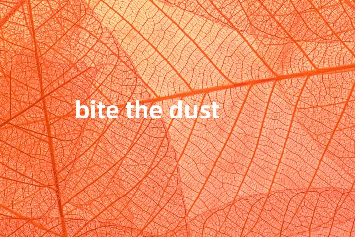 bite the dust单词图解，单词释义场景配图
