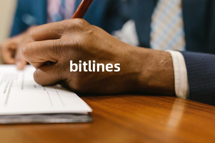 bitlines单词图解，单词释义场景配图