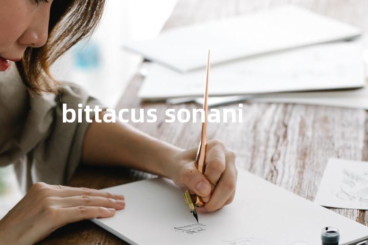 bittacus sonani单词图解，单词释义场景配图