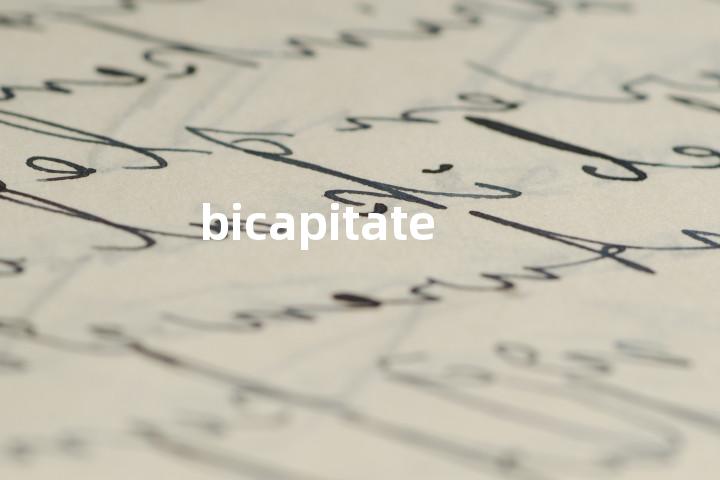 bicapitate单词图解，单词释义场景配图