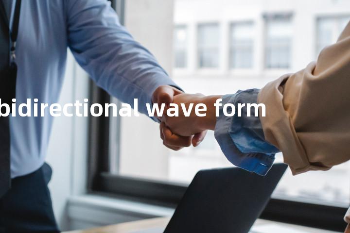 bidirectional wave form单词图解，单词释义场景配图