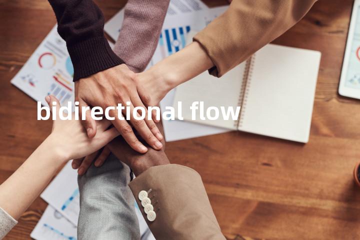 bidirectional flow单词图解，单词释义场景配图