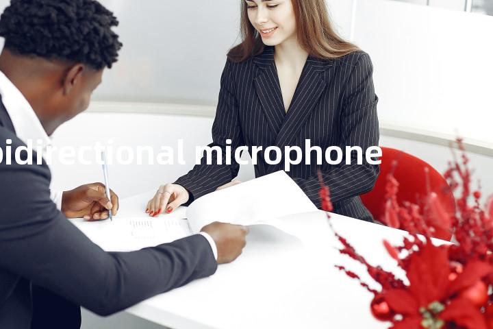 bidirectional microphone单词图解，单词释义场景配图