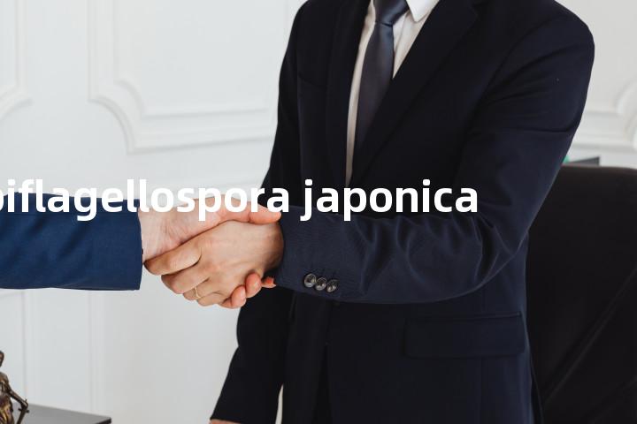 biflagellospora japonica单词图解，单词释义场景配图