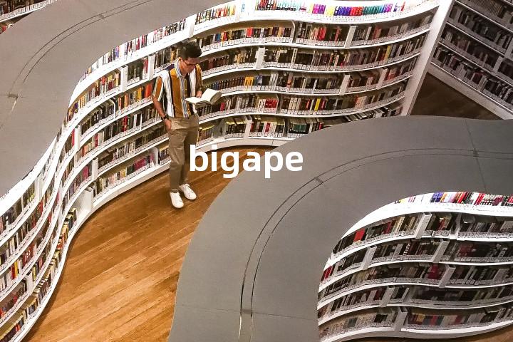 bigape单词图解，单词释义场景配图