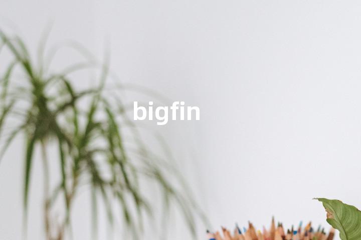 bigfin单词图解，单词释义场景配图