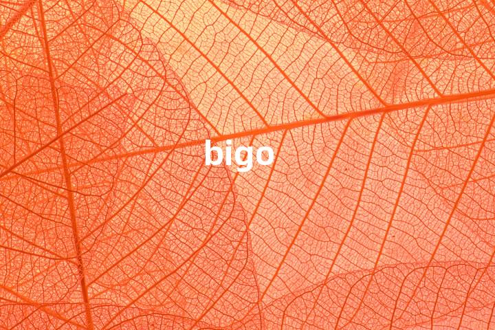 bigo单词图解，单词释义场景配图