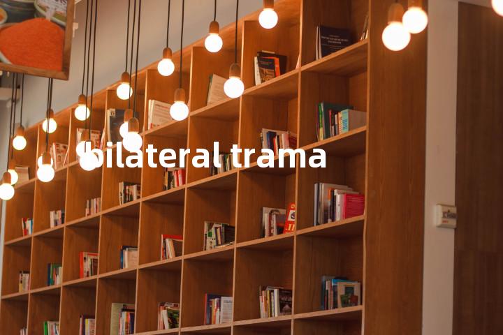 bilateral trama单词图解，单词释义场景配图