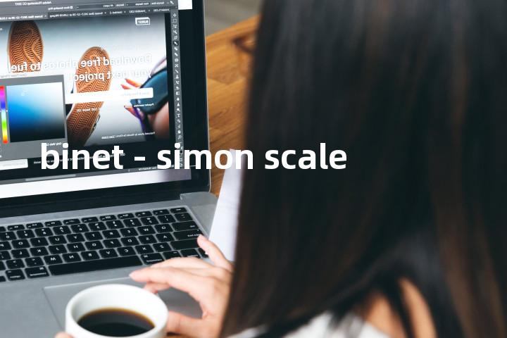 binet - simon scale单词图解，单词释义场景配图