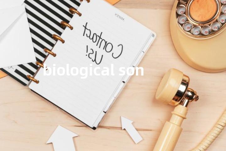 biological son单词图解，单词释义场景配图