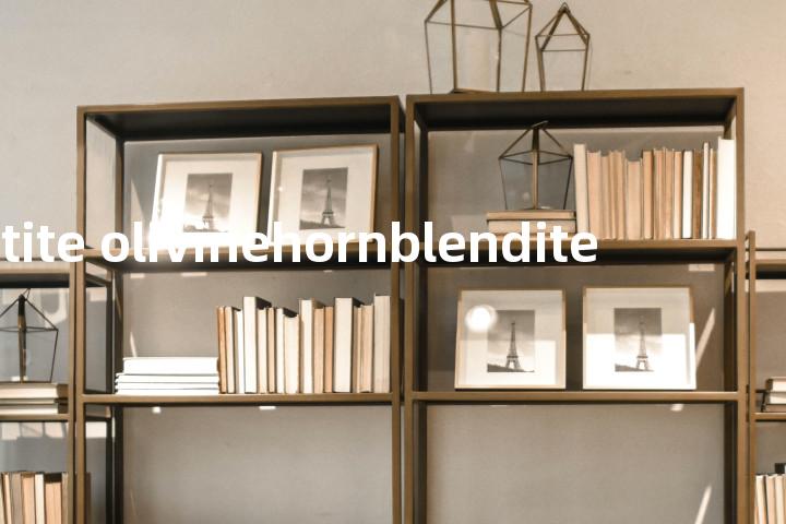 biotite olivinehornblendite单词图解，单词释义场景配图