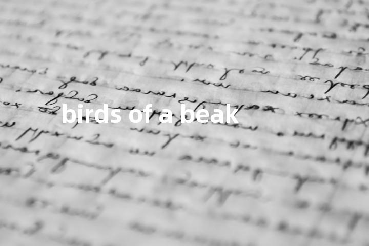 birds of a beak单词图解，单词释义场景配图
