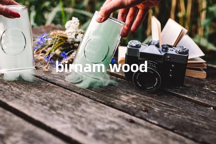 birnam wood单词图解，单词释义场景配图