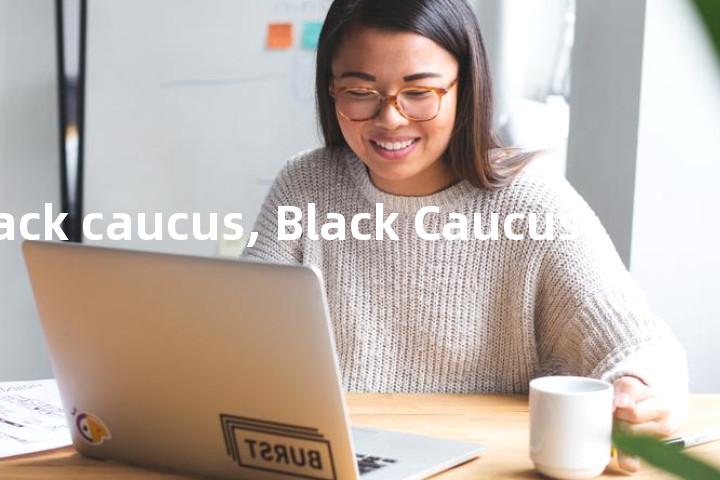 black caucus, Black Caucus单词图解，单词释义场景配图
