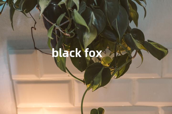 black fox单词图解，单词释义场景配图
