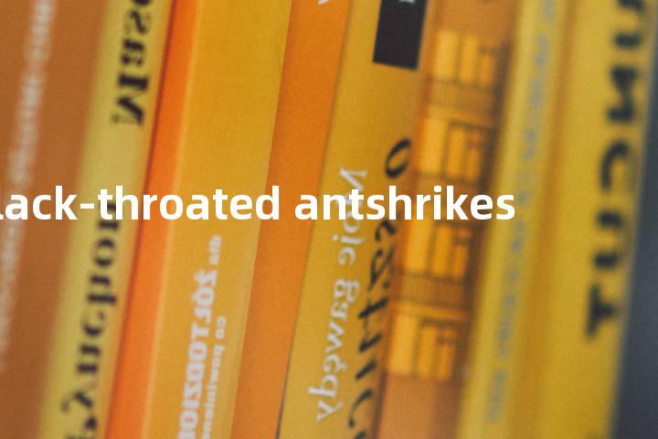 black-throated antshrikes单词图解，单词释义场景配图
