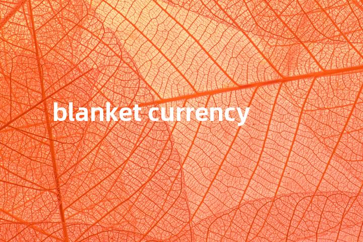 blanket currency单词图解，单词释义场景配图