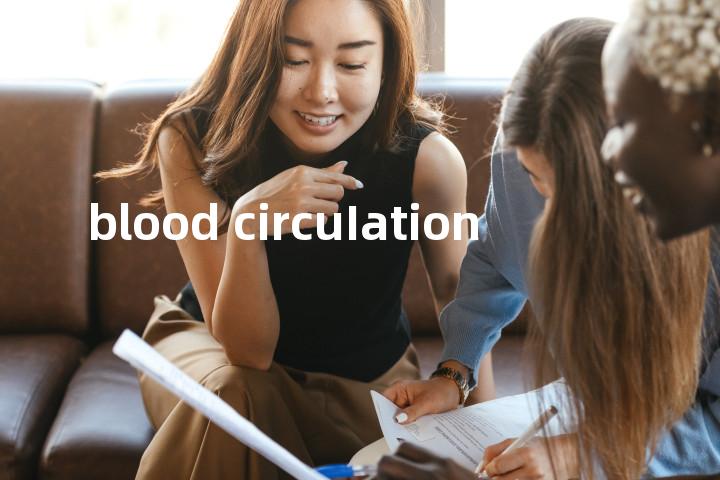 blood circuIation单词图解，单词释义场景配图