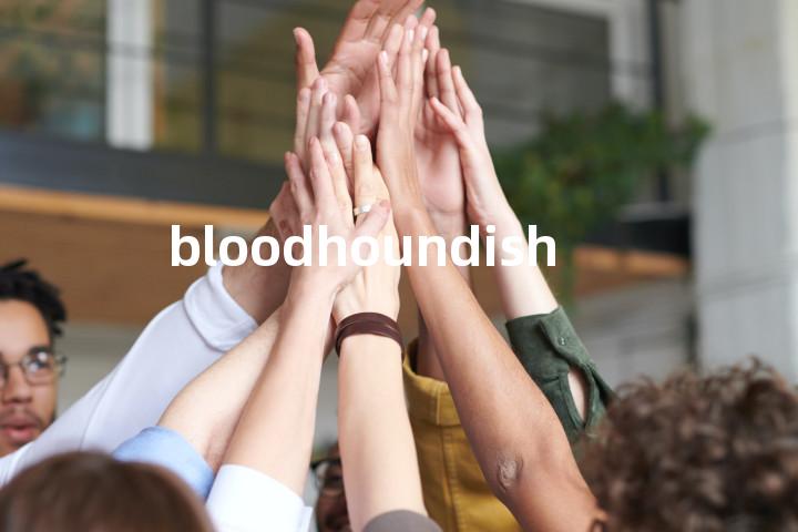 bloodhoundish单词图解，单词释义场景配图