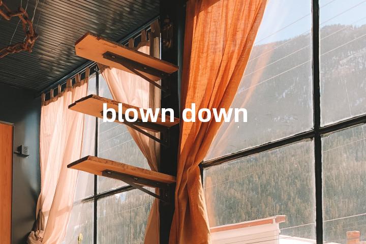 blown down单词图解，单词释义场景配图