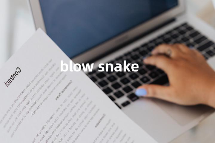 blow snake单词图解，单词释义场景配图