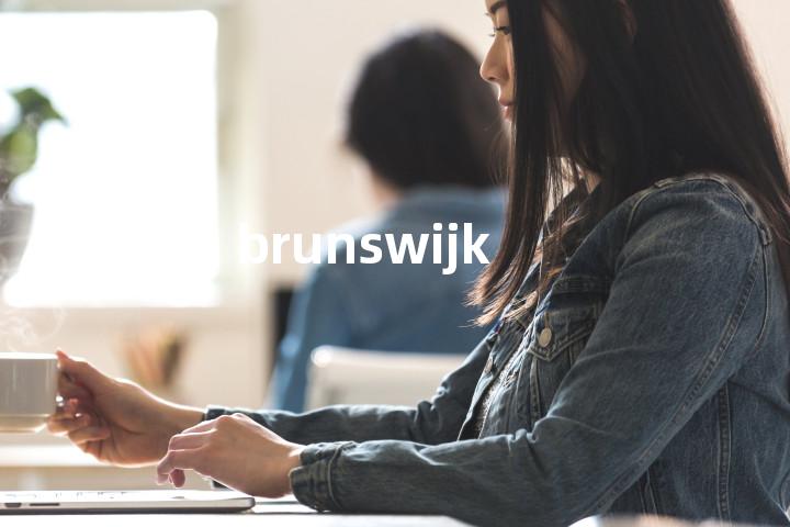 brunswijk单词图解，单词释义场景配图