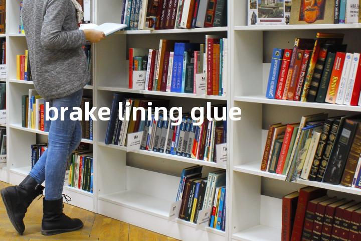 brake lining glue单词图解，单词释义场景配图