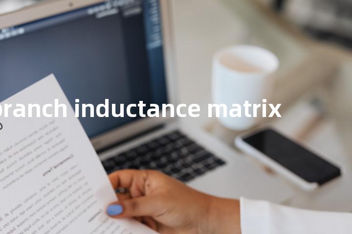 branch inductance matrix单词图解，单词释义场景配图