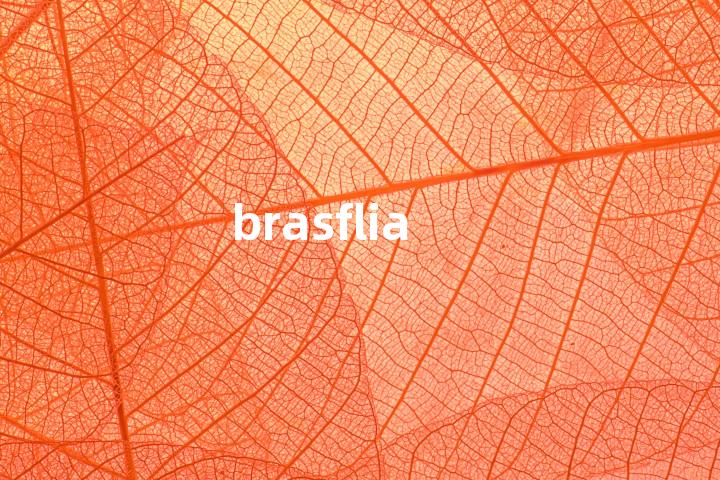 brasflia单词图解，单词释义场景配图