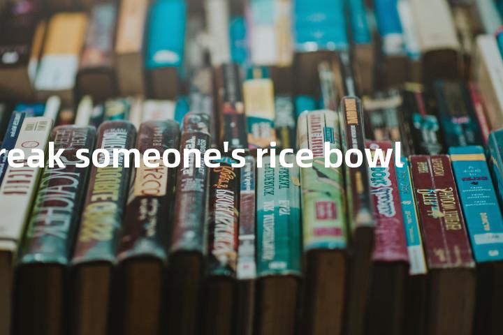 break someone's rice bowl单词图解，单词释义场景配图