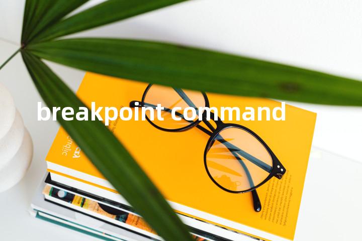 breakpoint command单词图解，单词释义场景配图