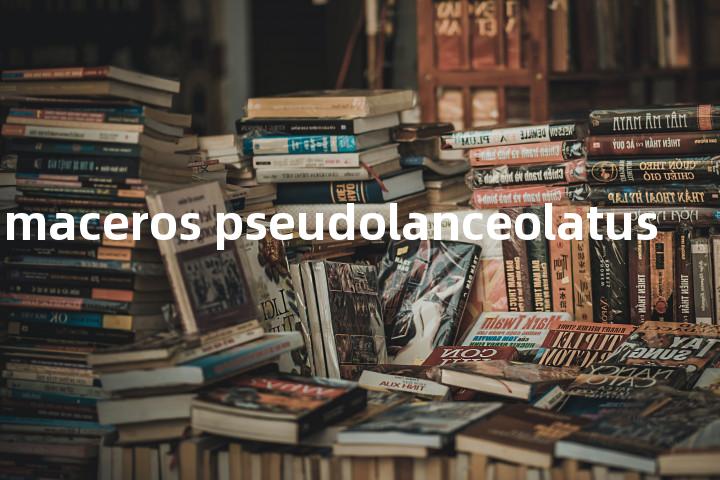 bregmaceros pseudolanceolatus单词图解，单词释义场景配图
