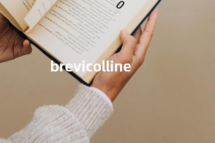 brevicolline单词图解，单词释义场景配图