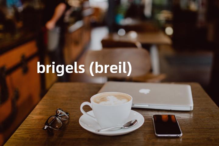 brigels (breil)单词图解，单词释义场景配图