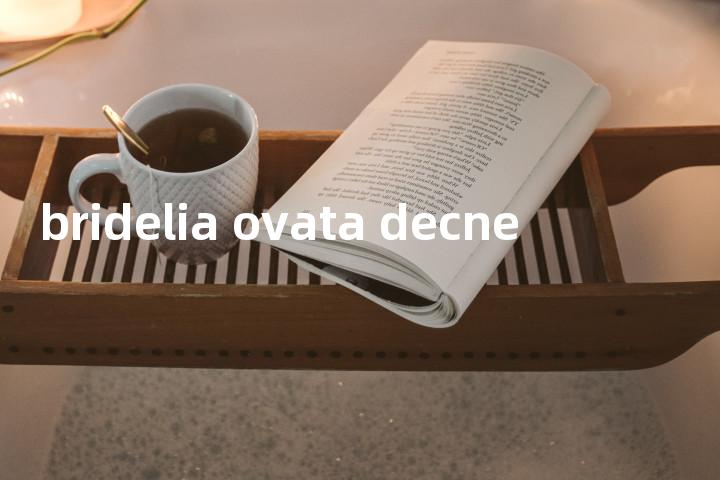 bridelia ovata decne单词图解，单词释义场景配图