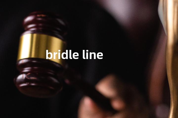bridle line单词图解，单词释义场景配图