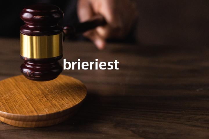 brieriest单词图解，单词释义场景配图