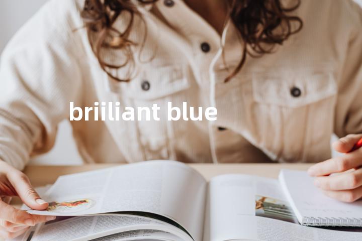 briiliant blue单词图解，单词释义场景配图