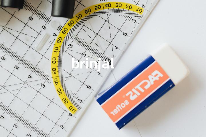 brinjal单词图解，单词释义场景配图